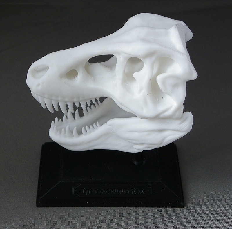 (image for) Dinosauriërs Decoraties