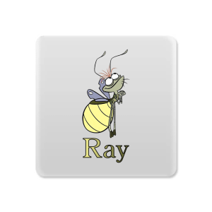 Magneet - De Prinses en de Kikker - Ray 1