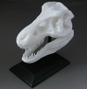 3D Prints - Dinosauriërs Decoraties - Schedel met Standaard 1