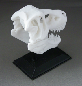 3D Prints - Dinosauriërs Decoraties - Schedel met Standaard 1