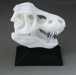 3D Prints - Dinosauriërs Decoraties - Schedel met Standaard 1
