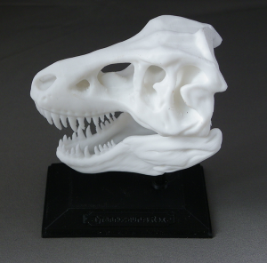 3D Prints - Dinosauriërs Decoraties - Schedel met Standaard 1