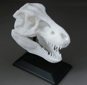 3D Prints - Dinosauriërs Decoraties - Schedel met Standaard 1