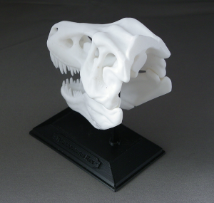 3D Prints - Dinosauriërs Decoraties - Schedel met Standaard 1