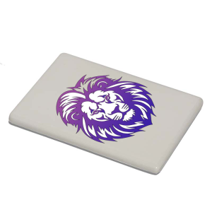 Magneet - Dieren - Leeuw 1