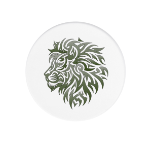 Magneet - Dieren - Leeuw 2