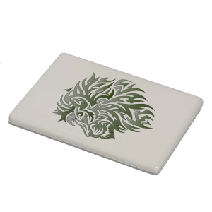Magneet - Dieren - Leeuw 2