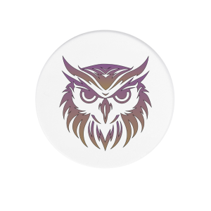 Magneet - Dieren - Uil 1