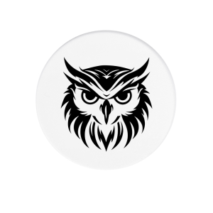 Magneet - Dieren - Uil 1
