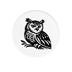 Magneet - Dieren - Uil 2