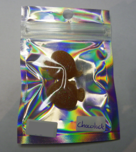 Handgemaakte Squishies met Geur - Zeedier Squishy - Chocolade (1 Stuk)